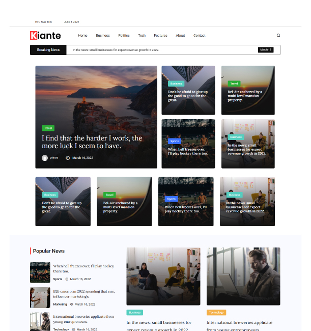 Leading Blog Website